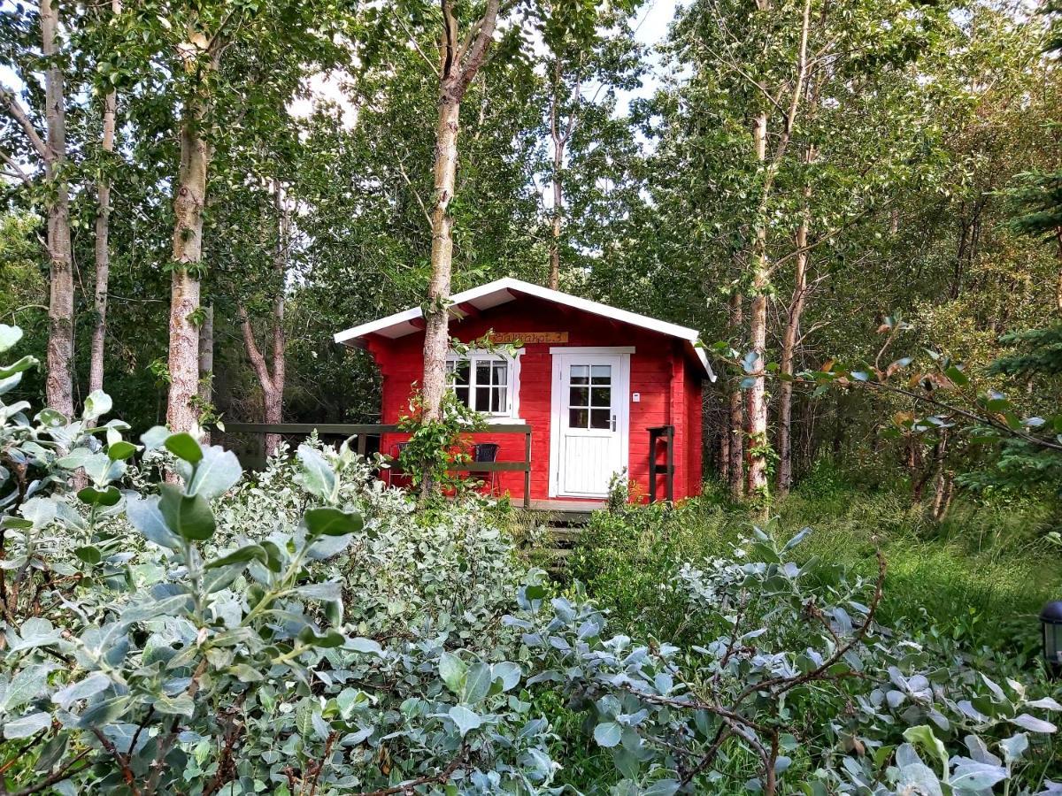 Bakkakot 3 Cozy Cabin In The Woods Akureyri Kültér fotó