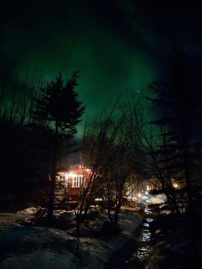 Bakkakot 3 Cozy Cabin In The Woods Akureyri Kültér fotó